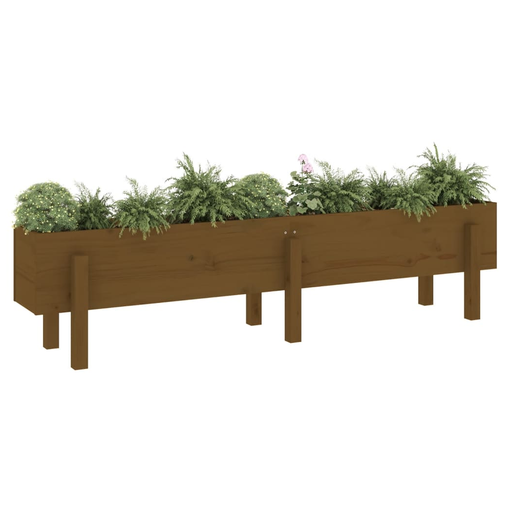 vidaXL Garden Raised Bed Honey Brown 160x30x38 cm Solid Wood Pine S0671357811