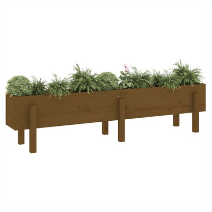 vidaXL Garden Raised Bed Honey Brown 160x30x38 cm Solid Wood Pine S0671357811