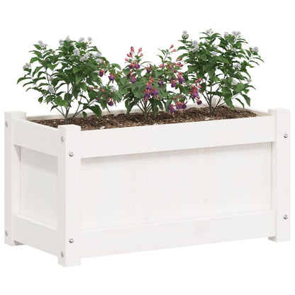 vidaXL Garden Planters 2 pcs White Solid Wood Pine S0671388123