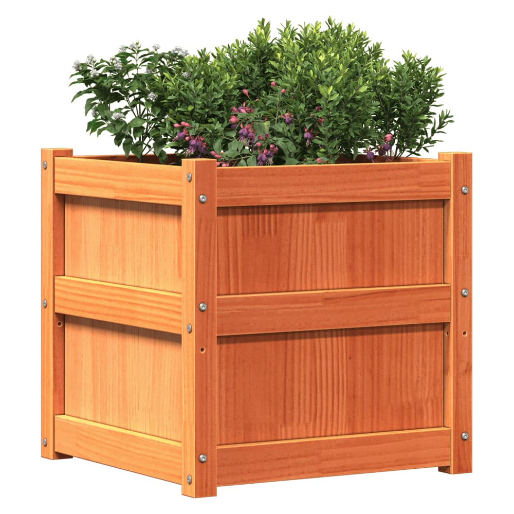 vidaXL Garden Planter Wax Brown 50x50x50 cm Solid Wood Pine S0671394891