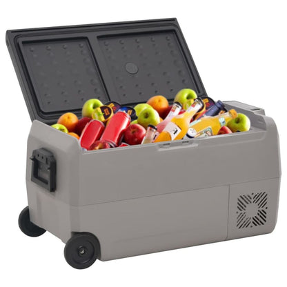 vidaXL Cool Box with Wheel and Handle Black & Grey 50 L PP & PE S0671210604