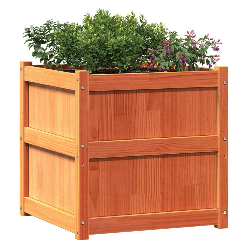 vidaXL Garden Planter Wax Brown 60x60x60 cm Solid Wood Pine S0671394893