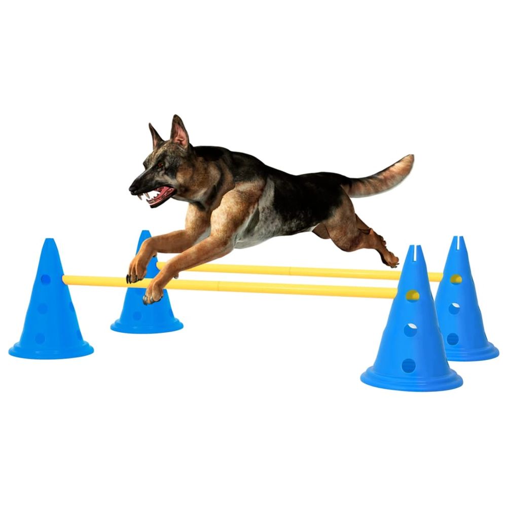 Dog Activity Obstacle Set Orange and Yellow or Blue and Yellow S069789169