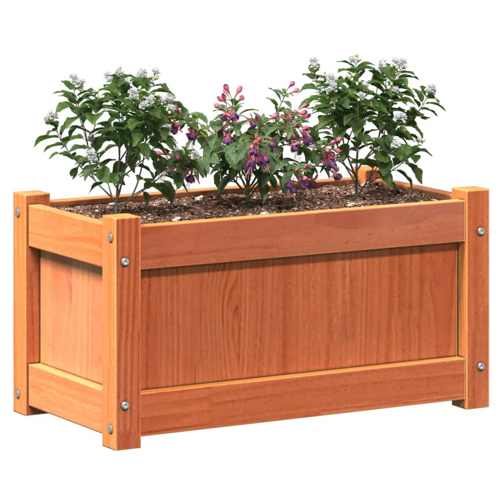 vidaXL Garden Planter Wax Brown 60x31x31 cm Solid Wood Pine S0671394922