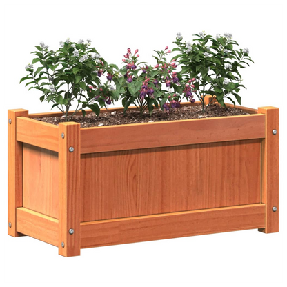 vidaXL Garden Planter Wax Brown 60x31x31 cm Solid Wood Pine S0671394922