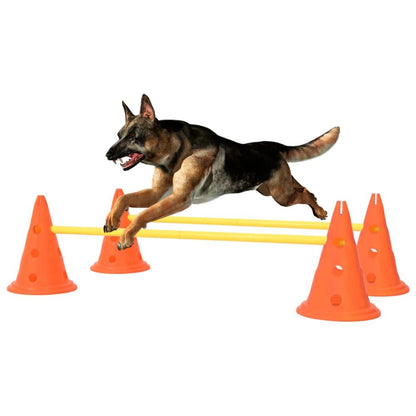 Dog Activity Obstacle Set Orange and Yellow or Blue and Yellow S069789168