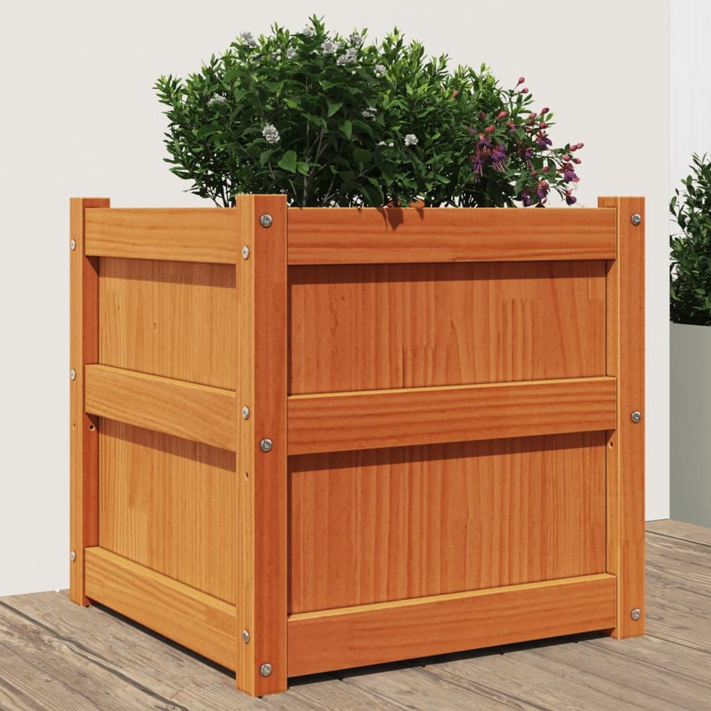 vidaXL Garden Planter Wax Brown 50x50x50 cm Solid Wood Pine S0671394891