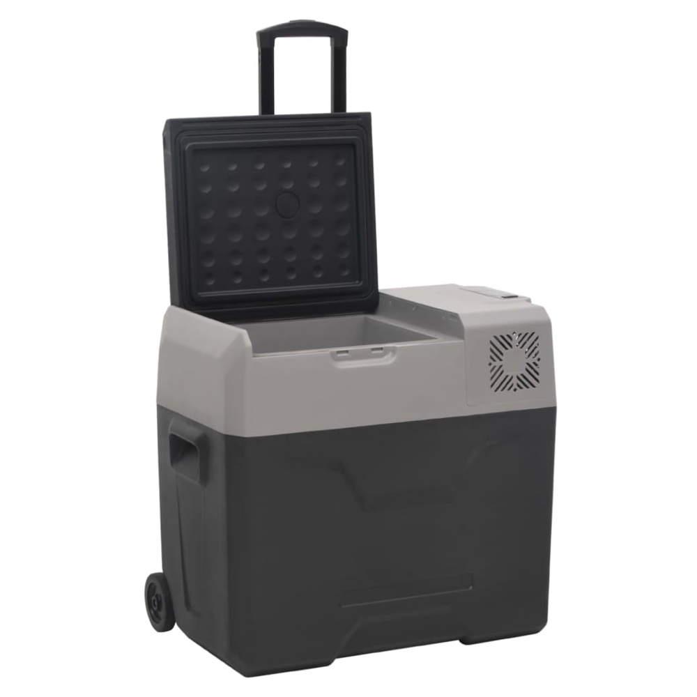 vidaXL Cool Box with Wheel and Handle Black&Grey 30 L Polypropylene S0671211386