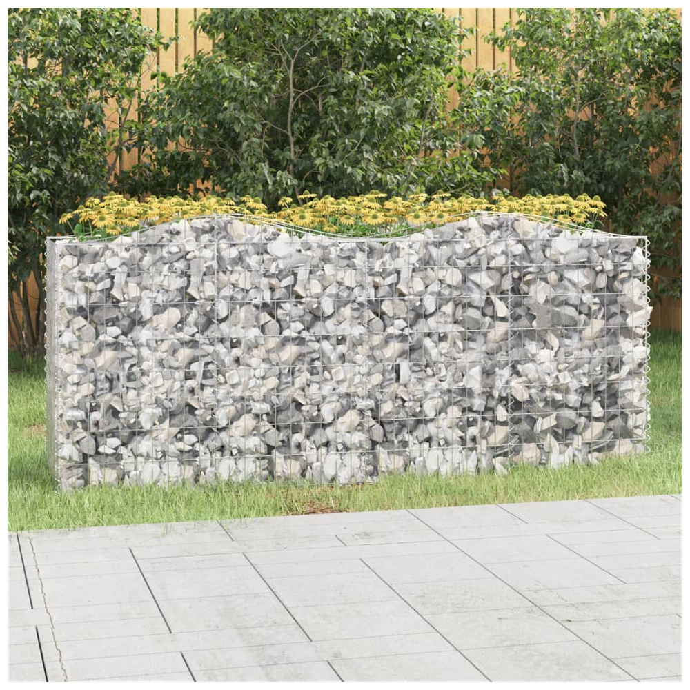 Arched Gabion Raised Bed 200x50x100 cm Galvanised Iron S0671171948