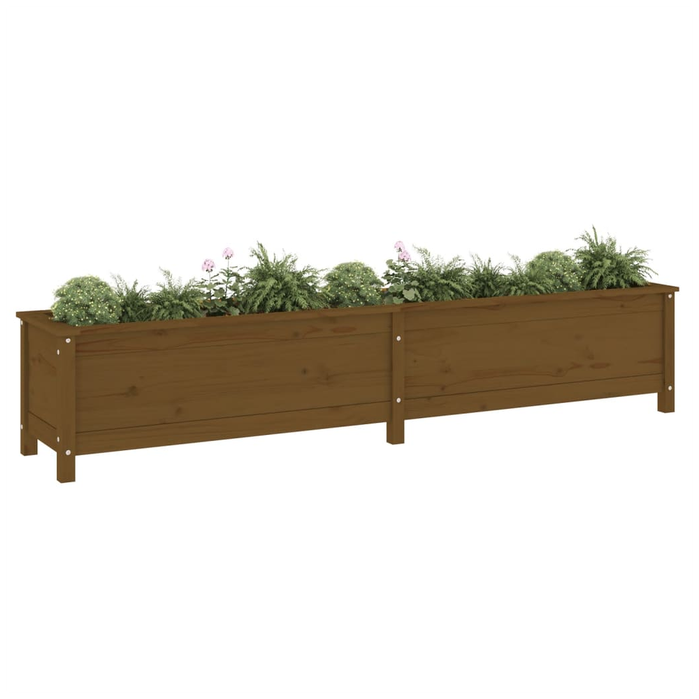 Garden Raised Bed Honey Brown 199.5x40x39 cm Solid Wood Pine S0671357938