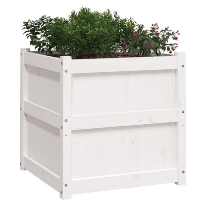 vidaXL Garden Planter White 60x60x60 cm Solid Wood Pine S0671384856