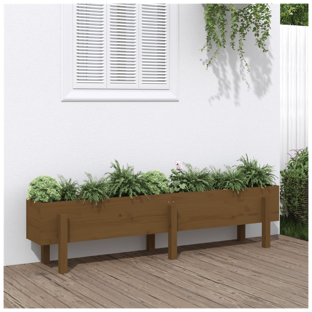 vidaXL Garden Raised Bed Honey Brown 160x30x38 cm Solid Wood Pine S0671357811