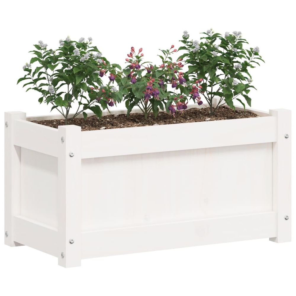 vidaXL Garden Planter White 60x31x31 cm Solid Wood Pine S0671388133