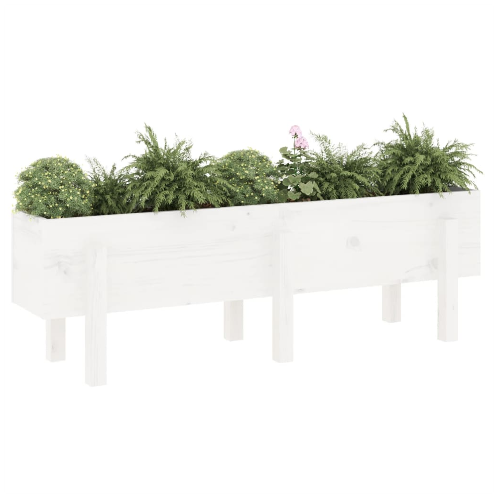 vidaXL Garden Raised Bed White 121x30x38 cm Solid Wood Pine S0671357970