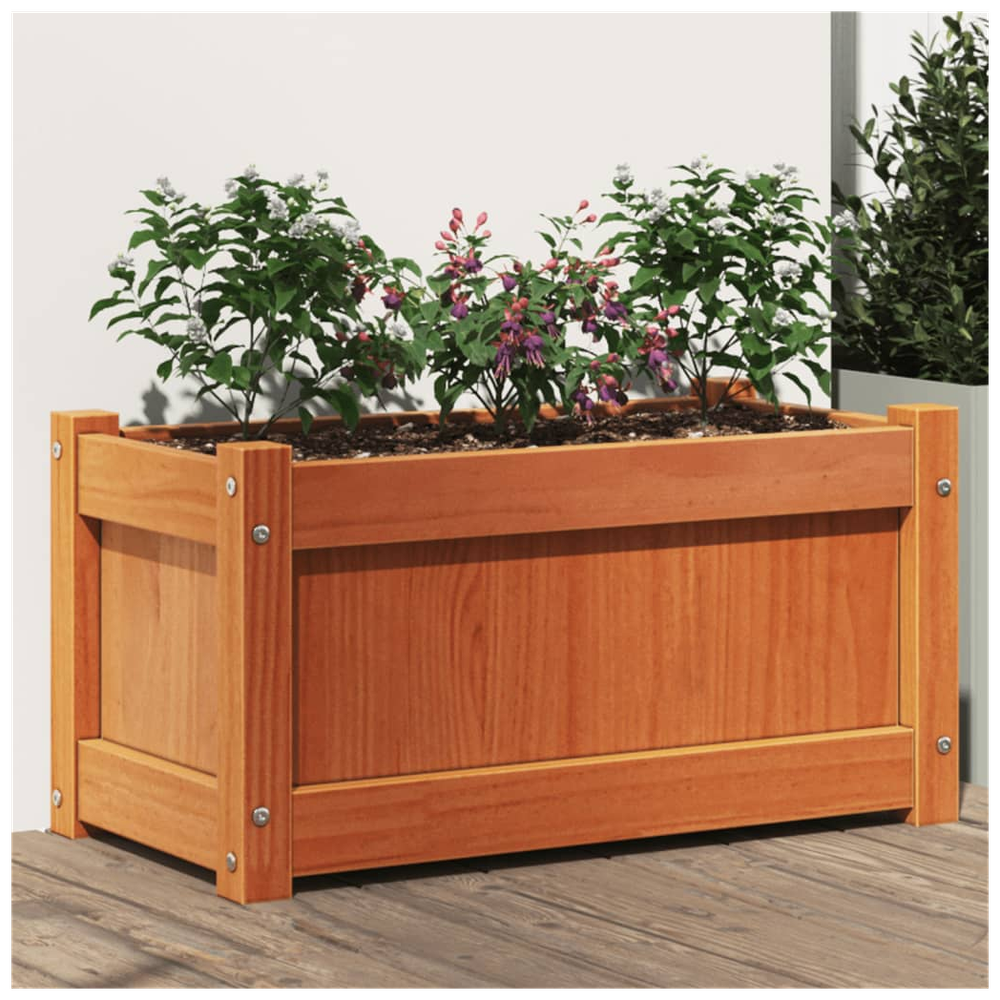 vidaXL Garden Planter Wax Brown 60x31x31 cm Solid Wood Pine S0671394922