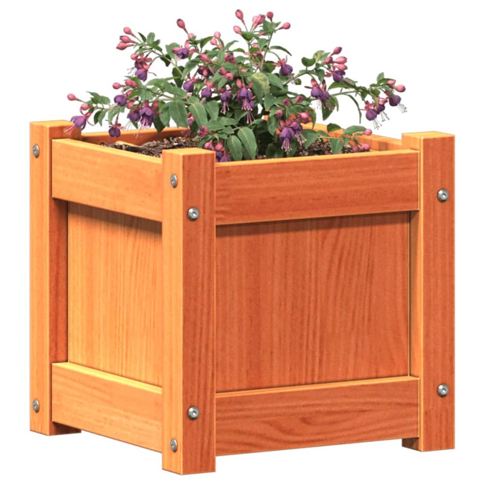 vidaXL Garden Planter Wax Brown 31x31x31 cm Solid Wood Pine S0671402616