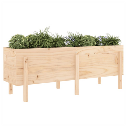 vidaXL Garden Raised Bed 160x50x57 cm Solid Wood Pine S0671358065